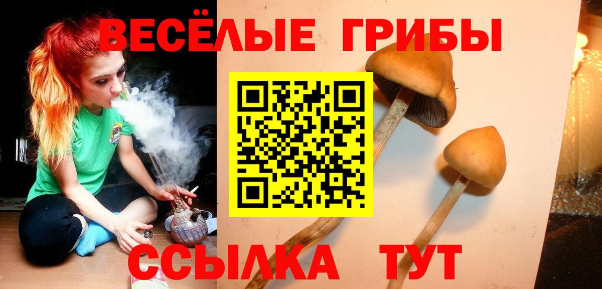 Галлюциногенные грибы ЛСД  Вход с VPN  Барабинск 