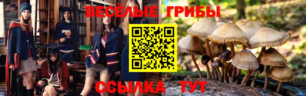 Псилоцибиновые грибы ЛСД Барабинск